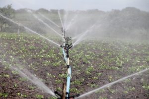 Bewässerungssystem auf Nutzfeld